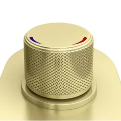 Arezzo Brushed Brass Push-Button Shower With Handset + Rainfall Shower Head 12 Arezzo Brushed Brass Push-Button Shower With Handset + Rainfall Shower Head -Shower Baths Discount azpb2rbbpk d3