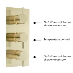 Arezzo Brushed Brass Round Concealed Triple Shower Valve With Fixed Head + 4 Body Jets 13 Arezzo Brushed Brass Round Concealed Triple Shower Valve With Fixed Head + 4 Body Jets -Shower Baths Discount azrdtsv4bjbbd4