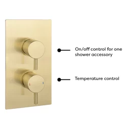 Arezzo Brushed Brass Twin Concealed Shower Valve Inc. 300mm Head + Ceiling Mounted Arm -Shower Baths Discount rd3bbpkcm detail1