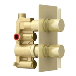 Arezzo Brushed Brass Twin Concealed Shower Valve Inc. 300mm Head + Ceiling Mounted Arm -Shower Baths Discount rd3bbpkcm detail2
