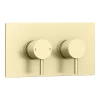 Arezzo Brushed Brass Twin Concealed Shower Valve Inc. 300mm Head + Ceiling Mounted Arm -Shower Baths Discount rd3bbpkcm detail4