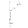 Trafalgar Victorian Exposed Valve Inc. Rigid Riser Kit, Diverter, 8" Rose + Handset -Shower Baths Discount tsvpk02nd2
